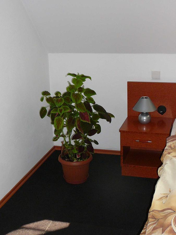 Penzion Praktik Krumlov Prisecna Room photo
